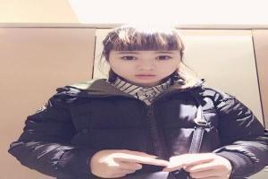 崩坏模拟器竟然是真的